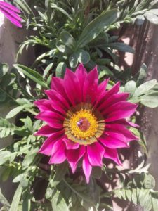 WhatsApp Image 2024-10-11 at 11.34.29