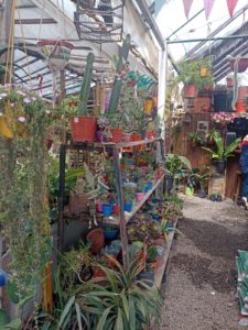 WhatsApp Image 2024-10-11 at 11.34.30 (1)