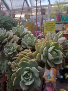 WhatsApp Image 2024-10-11 at 11.34.30 (3)