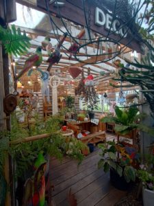 WhatsApp Image 2024-10-11 at 11.34.30 (4)