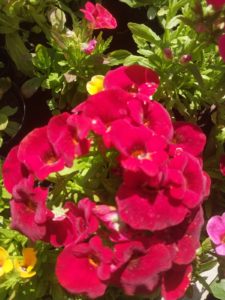 WhatsApp Image 2024-10-11 at 11.34.31 (2)