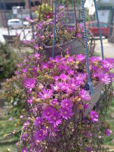 WhatsApp Image 2024-10-11 at 11.34.31 (3)