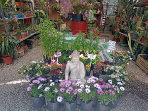 WhatsApp Image 2024-10-11 at 11.34.31