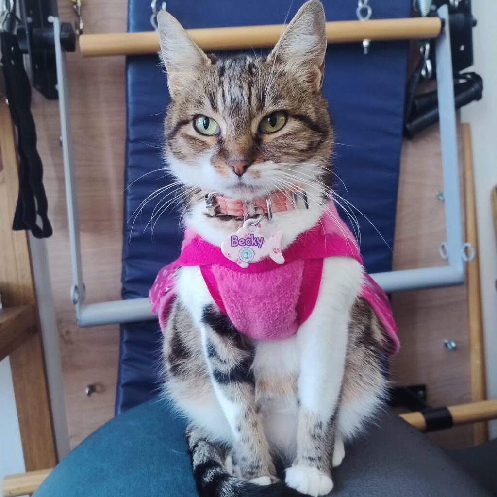 530363929_3885503278423238_8261897330816254378_n