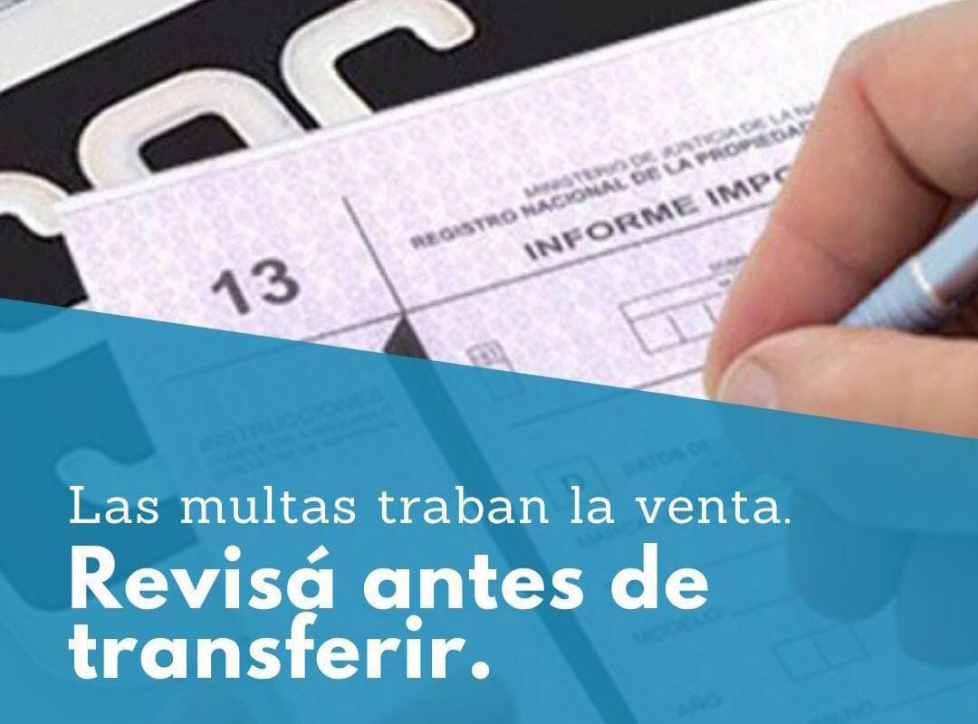 WhatsApp Image 2025-10-28 at 9.00.45 AM (1)